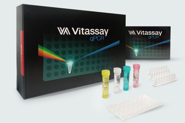 7041078 qPCR TOXOPLASMOSIS 4X8 WELL STRIP. VITASSAY - Imagen 1