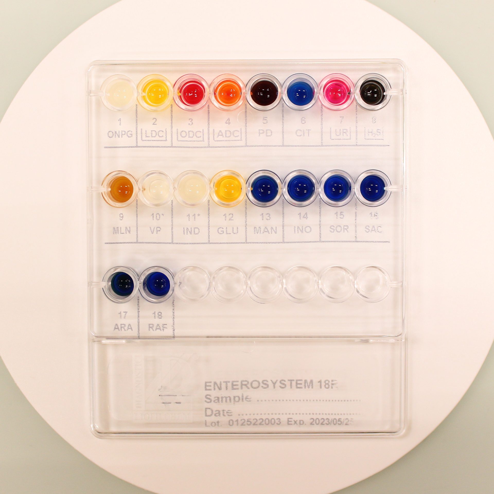 71618 ENTEROSYSTEM 18R, 20 TEST. LIOFILCHEM - Imagen 1