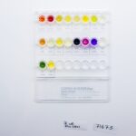 COPRO SYSTEM PLUS, 20 TEST. LIOFILCHEM