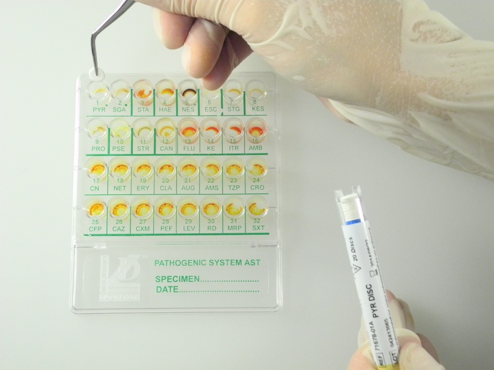 71681 PATHOGENIC SYSTEM AST, 20 TEST. LIOFILCHEM - Imagen 1