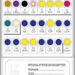 INTEGRAL SYSTEM ENTEROBATTERI. 20 TEST