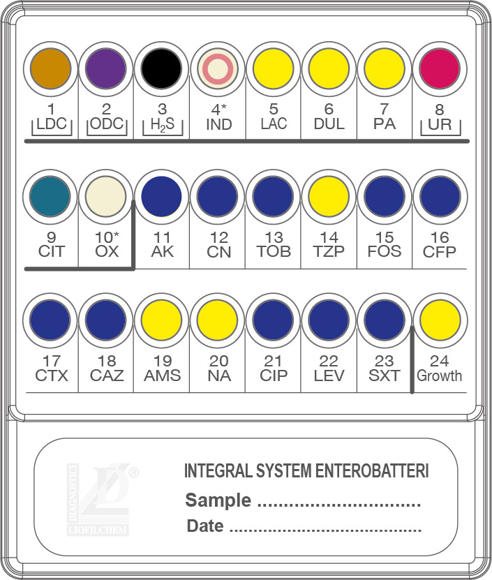 71714 INTEGRAL SYSTEM ENTEROBATTERI. 20 TEST - Imagen 1