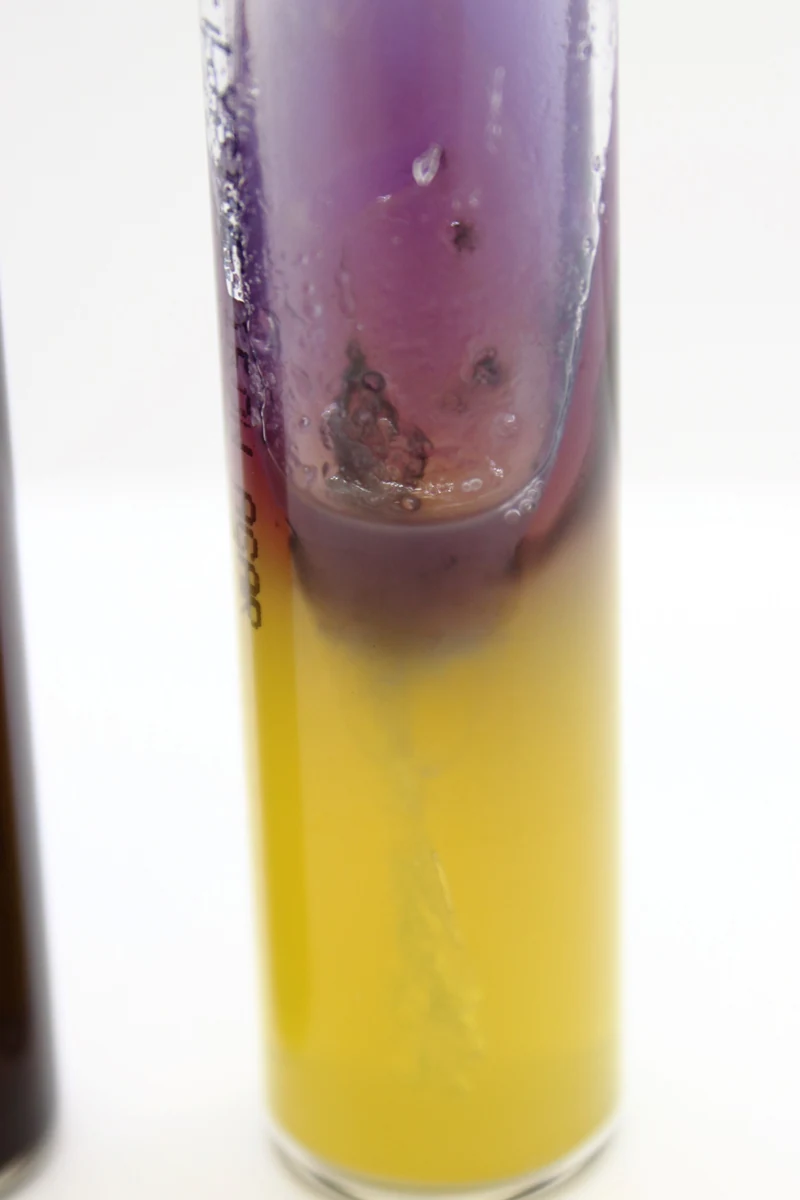 30098 LYSINE IRON AGAR. 10 TUBES . LIOFILCHEM - Imagen 1