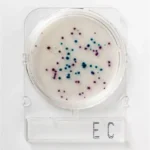 E. COLI / COLIFORMES 1 PLACA. COMPACT DRY