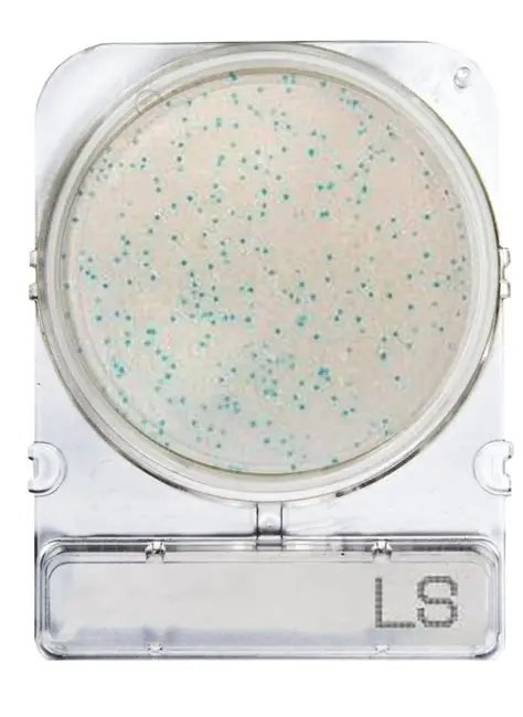 COMPACT-DRY-LS LISTERIA SPP. 1 PLACA. COMPACT DRY - Imagen 1
