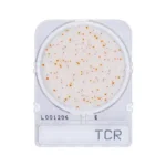 CONTEO TOTAL RAPIDO 1 PLACA. COMPACT DRY
