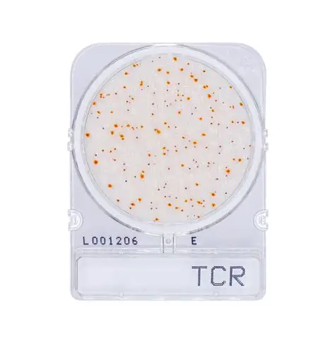 COMPACT-DRY-TCR CONTEO TOTAL RAPIDO 1 PLACA. COMPACT DRY - Imagen 1