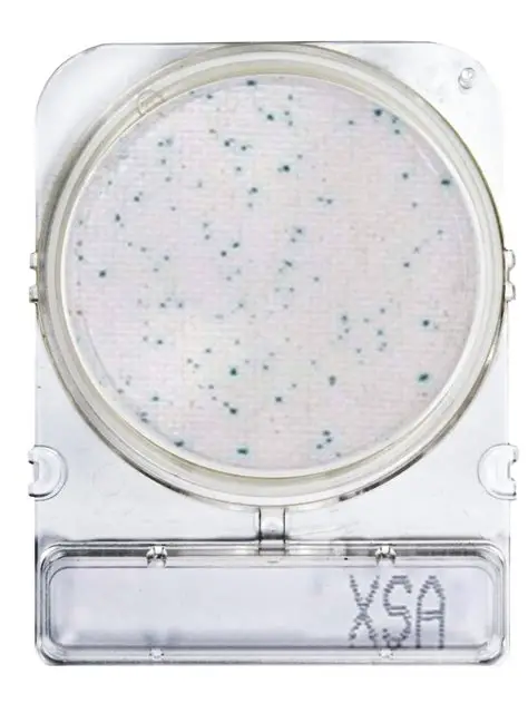 COMPACT-DRY-XSA STAPHYLOCOCCUS AUREUS 1 PLACA. COMPACT DRY - Imagen 1