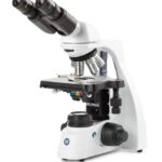 MICROSCOPIO BINOCULAR BSCOPE CON E-PLAN EPLI 4/10/S40/S100X. GLOBE